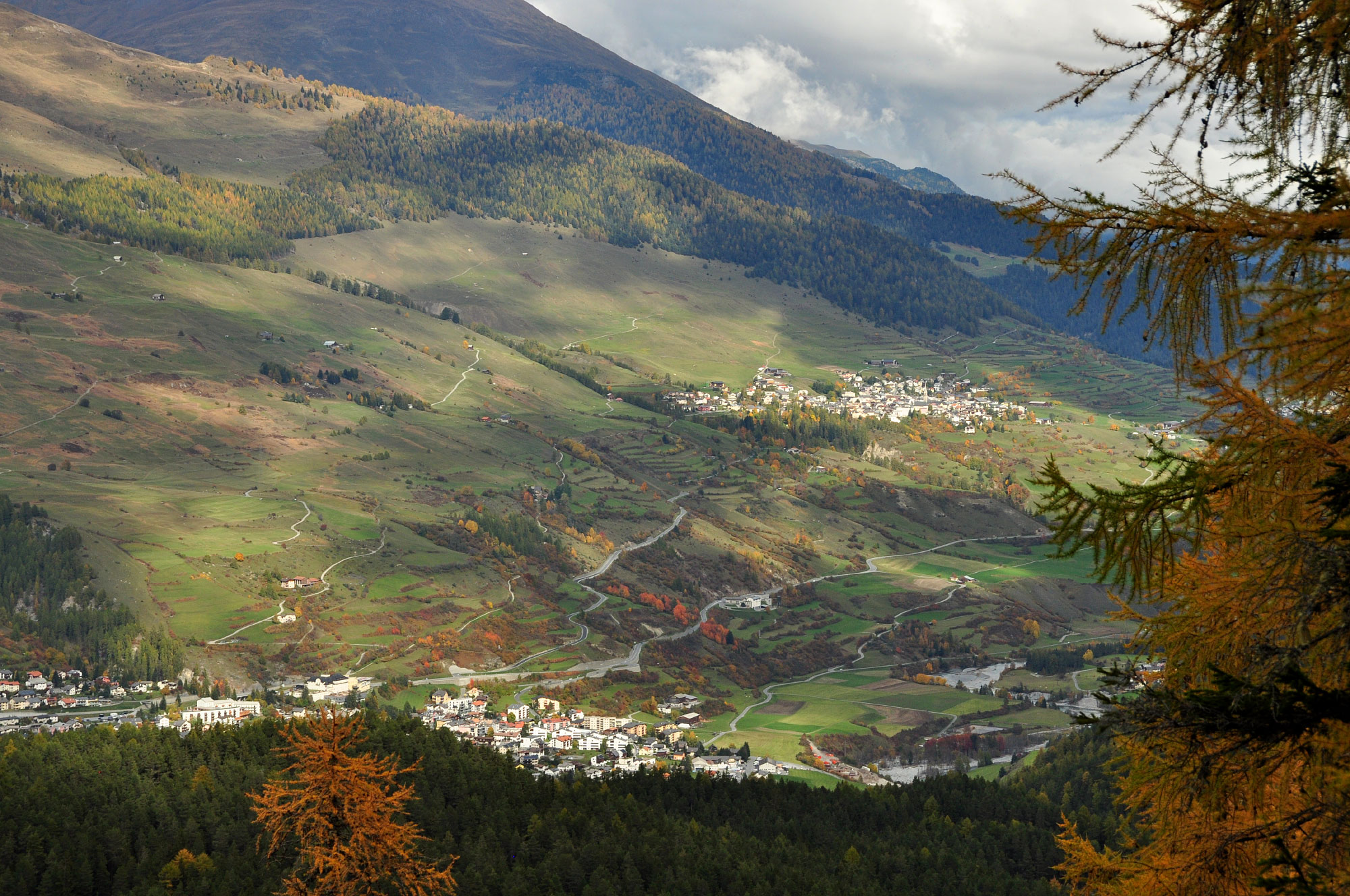 Tarasp